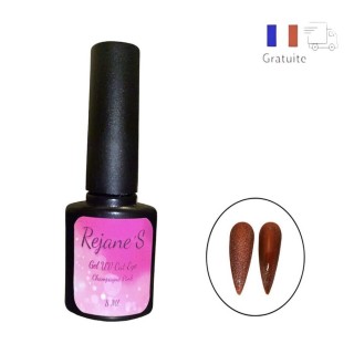 1 Gel Uv Paillettes Magnétiques 